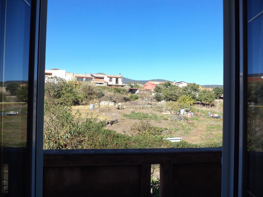 Seneghe Il Tarlo B&B 객실 사진